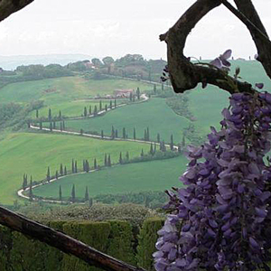 val_orcia